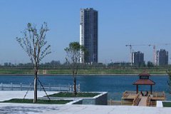 濕地(dì / de)公園項目