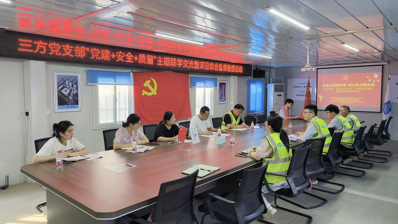 黨建引領強管理 城投集團與項目方聯合開展“黨建+安全+質量”主題黨日活動